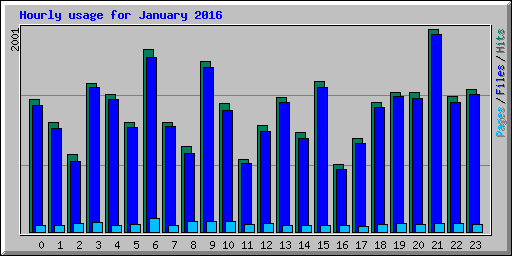 Hourly usage for January 2016