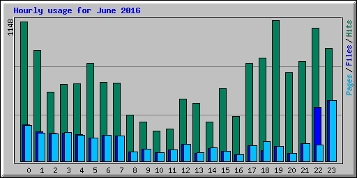 Hourly usage for June 2016