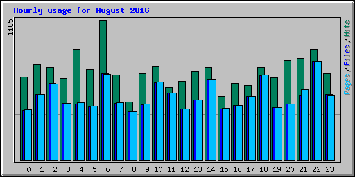 Hourly usage for August 2016