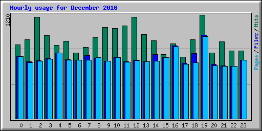 Hourly usage for December 2016